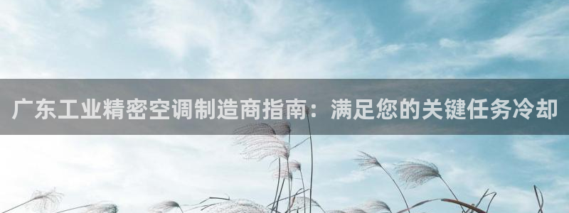 彩神8官网版是正规的吗：广东工业精密空调制造商指南：满足您的关键任务冷却