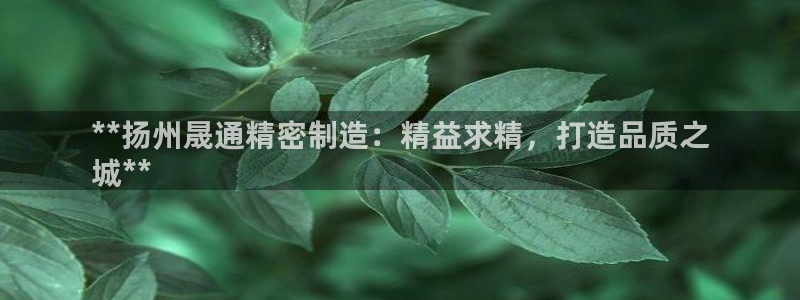 大发彩神争：**扬州晟通精密制造：精益求精，打造品质之
城**