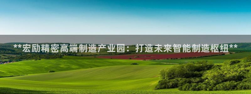 彩神团队是真的吗：**宏励精密高端制造产业园：打造未来智能制造枢纽**