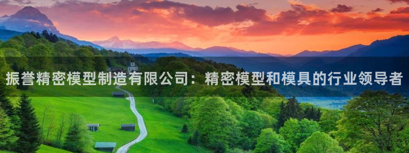 彩神VII购彩中心：振誉精密模型制造有限公司：精密模型和模具的行业领导者