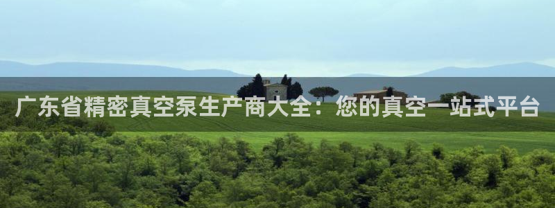 彩神8下载安卓版-彩神8(可提现)官网版1.0.0：广东省精密真空泵生产商大全：您的真空一站式平台