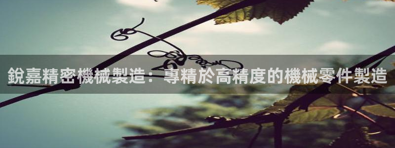 彩神大发是不是人为操作：銳嘉精密機械製造：專精於高精度的機械零件製造