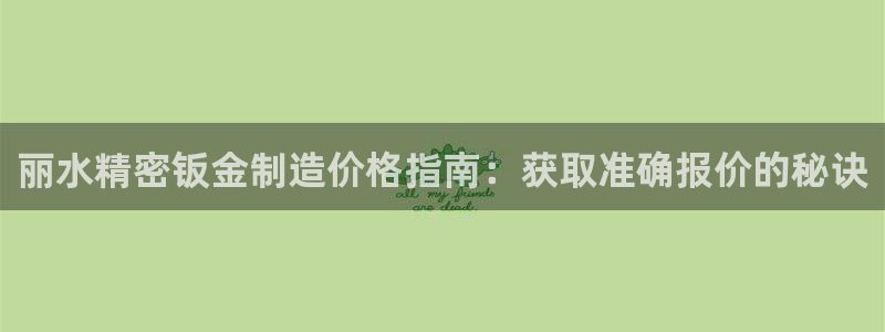 彩神vl购彩大厅：丽水精密钣金制造价格指南：获取准确报价的秘诀