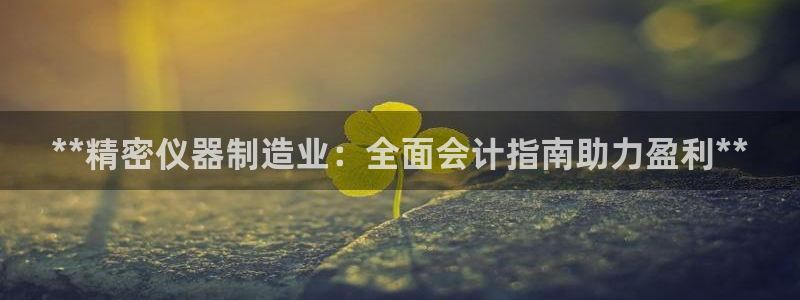 彩神iv是正规平台吗?：**精密仪器制造业：全面会计指南助力盈利**