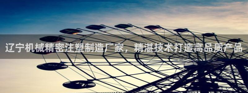 彩神v大众娱乐：辽宁机械精密注塑制造厂家，精湛技术打造高品质产品