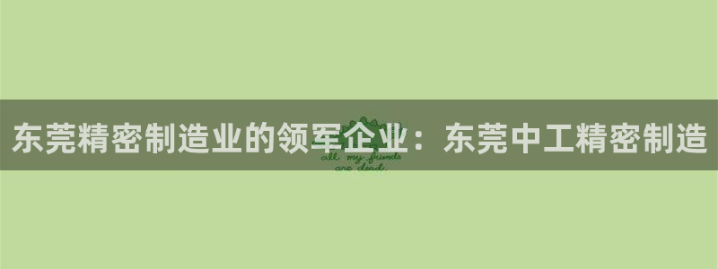 彩神大发cp：东莞精密制造业的领军企业：东莞中工精密制造