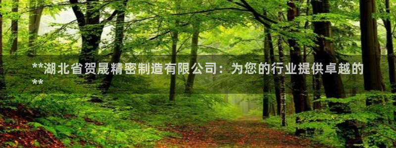 彩神ios下载：**湖北省贺晟精密制造有限公司：为您的行业提供卓越的
**