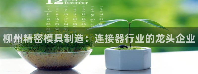 彩神ix平台：柳州精密模具制造：连接器行业的龙头企业