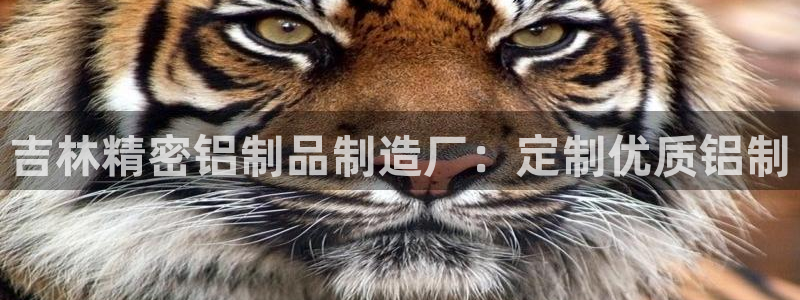 有谁知道彩神争霸的网址：吉林精密铝制品制造厂：定制优质铝制