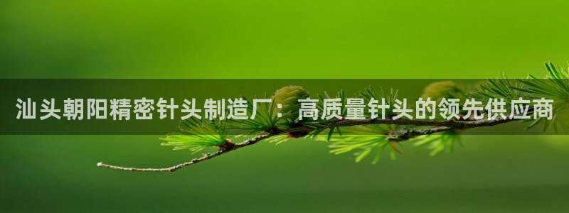 彩神VI首页：汕头朝阳精密针头制造厂：高质量针头的领先供应商