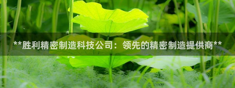 彩神v8iii：**胜利精密制造科技公司：领先的精密制造提供商**
