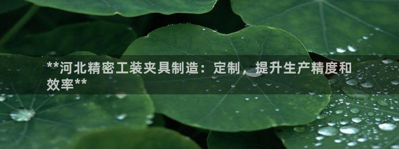 彩神平台可以破解吗：**河北精密工装夹具制造：定制，提升生产精度和
效率**