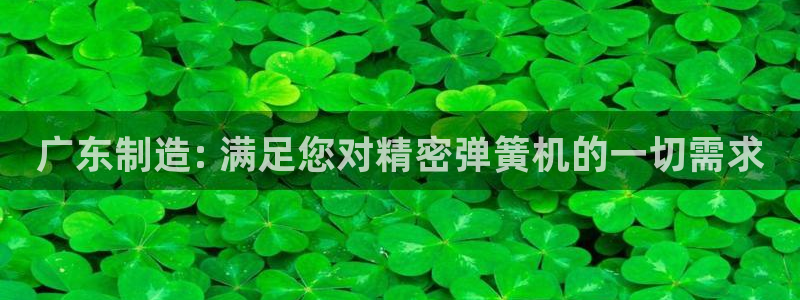 彩神v8几个版本：广东制造: 满足您对精密弹簧机的一切需求