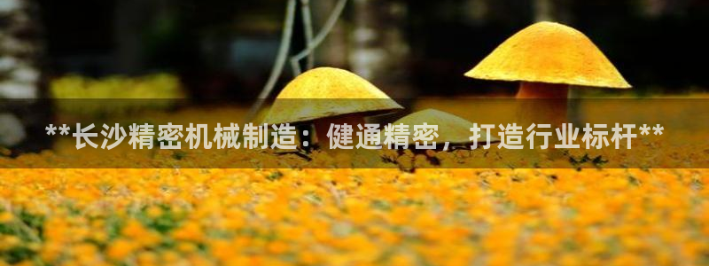 彩神8下载安卓版-彩神8(可提现)官网版1.0.0：**长沙精密机械制造：健通精密，打造行业标杆**