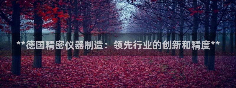 彩神是正规平台吗是真的吗：**德国精密仪器制造：领先行业的创新和精度**