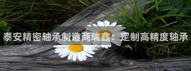 彩神v8下载：泰安精密轴承制造商瑞鑫：定制高精度轴承