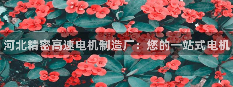 下载彩神v8：河北精密高速电机制造厂：您的一站式电机