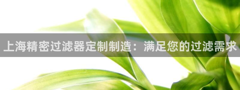 彩神争霸官方登录：上海精密过滤器定制制造：满足您的过滤需求