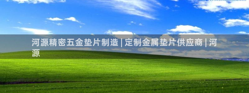 彩神旗下有哪些平台：河源精密五金垫片制造 | 定制金属垫片供应商 | 河
源