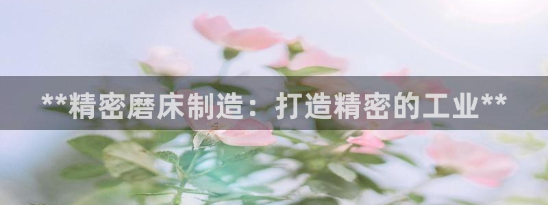 彩神8彩平台：**精密磨床制造：打造精密的工业**