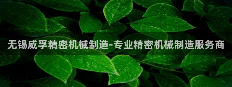彩神8是正规平台吗安全吗：无锡威孚精密机械制造-专业精密机械制造服务商