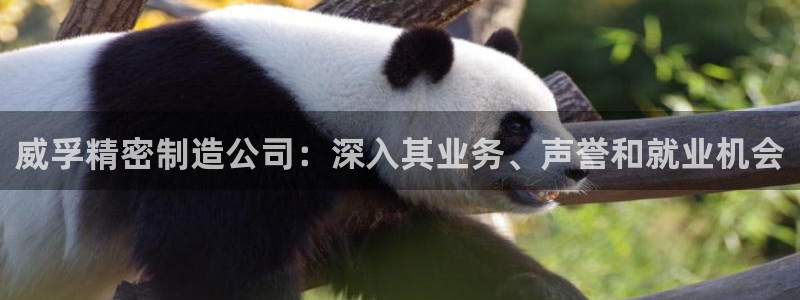 彩神ix可靠吗：威孚精密制造公司：深入其业务、声誉和就业机会