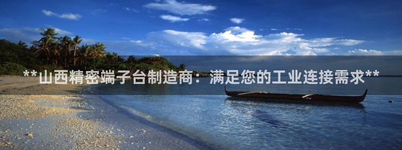 彩神新微聊：**山西精密端子台制造商：满足您的工业连接需求**