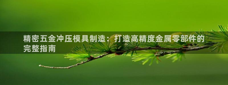彩神V官网：精密五金冲压模具制造：打造高精度金属零部件的
完整指南