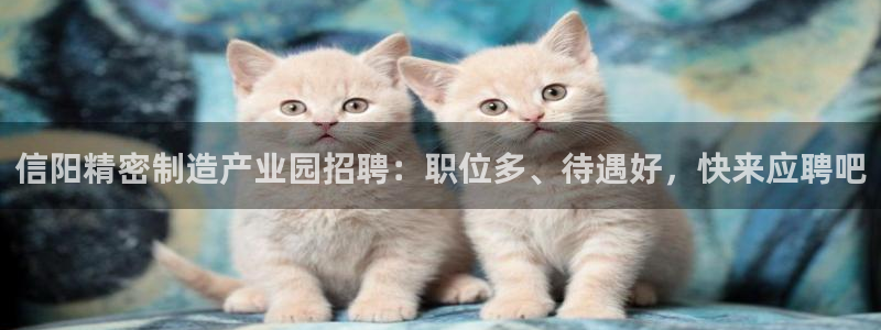 彩神8是正规平台吗知乎：信阳精密制造产业园招聘：职位多、待遇好，快来应聘吧