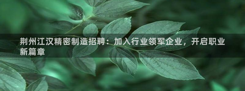 彩神旗下有哪些平台可以玩：荆州江汉精密制造招聘：加入行业领军企业，开启职业
新篇章