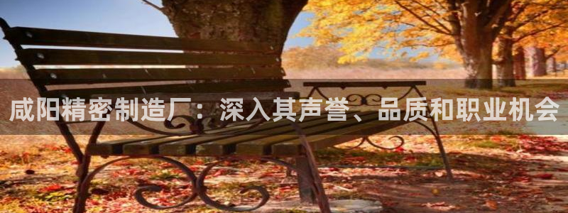 彩神v1官网：咸阳精密制造厂：深入其声誉、品质和职业机会