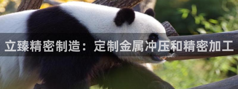 彩神8官网版是正规的吗：立臻精密制造：定制金属冲压和精密加工