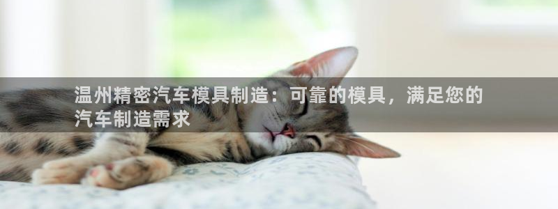 彩神大发官网：温州精密汽车模具制造：可靠的模具，满足您的
汽车制造需求