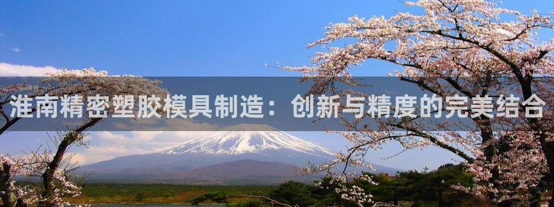 彩神骗局：淮南精密塑胶模具制造：创新与精度的完美结合