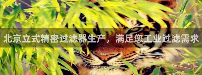 彩神iv是正规平台吗?：北京立式精密过滤器生产，满足您工业过滤需求