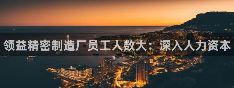 彩神v8手机客户端在哪：领益精密制造厂员工人数大：深入人力资本