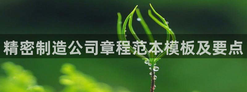 彩神是怎样一个平台赚钱的：精密制造公司章程范本模板及要点