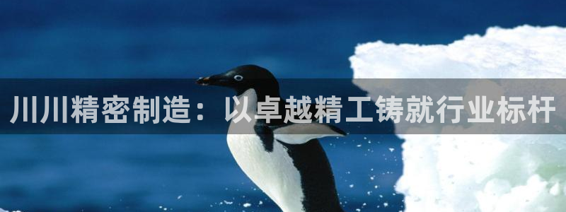 彩神v8手机客户端下载：川川精密制造：以卓越精工铸就行业标杆