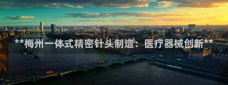 彩神vll首页企业文化：**梅州一体式精密针头制造：医疗器械创新**