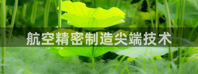 彩神网合法吗：航空精密制造尖端技术