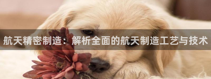 彩神平台可以破解吗：航天精密制造：解析全面的航天制造工艺与技术