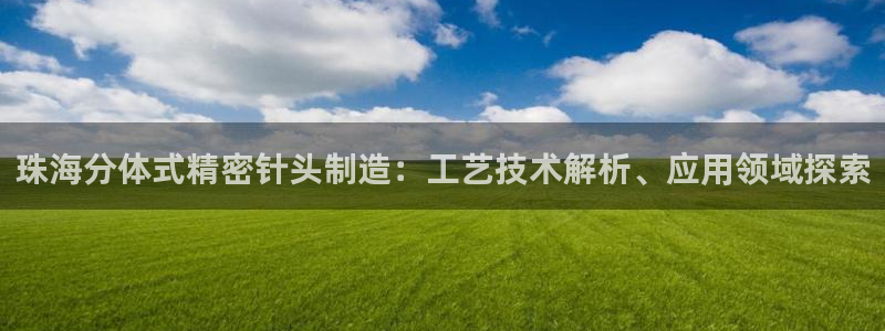 彩神平台能提现吗：珠海分体式精密针头制造：工艺技术解析、应用领域探索