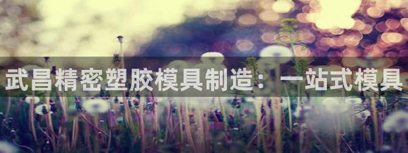 彩神v争霸有限公司：武昌精密塑胶模具制造：一站式模具