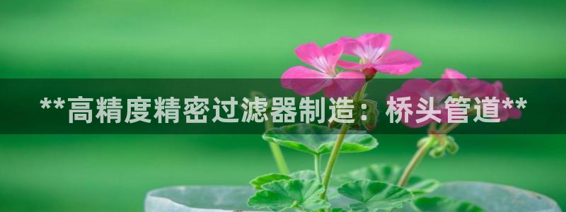 彩神8彩平台客服