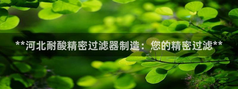 彩神8是正规平台吗：**河北耐酸精密过滤器制造：您的精密过滤**