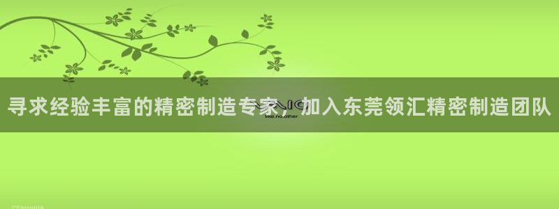 彩神v|：寻求经验丰富的精密制造专家，加入东莞领汇精密制造团队