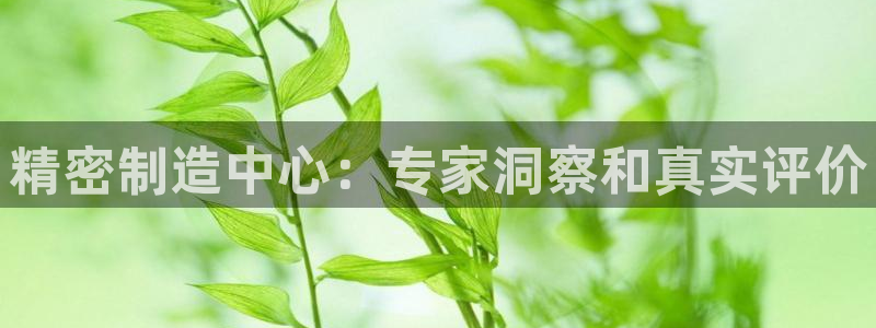 彩神新微聊：精密制造中心：专家洞察和真实评价