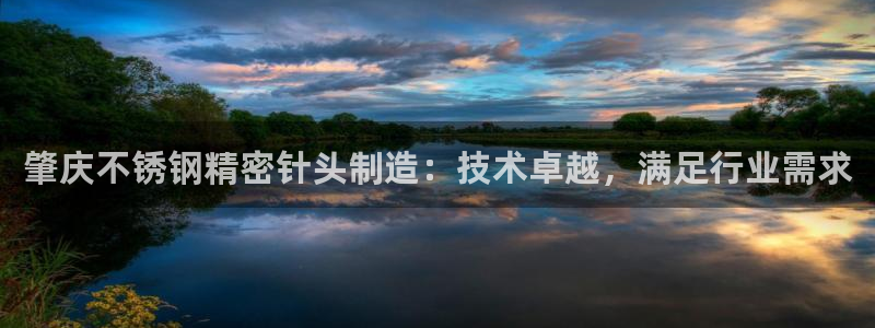 彩神ⅴll用户登录：肇庆不锈钢精密针头制造：技术卓越，满足行业需求