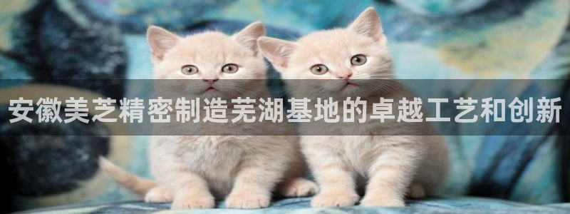 彩神vll趣投彩：安徽美芝精密制造芜湖基地的卓越工艺和创新