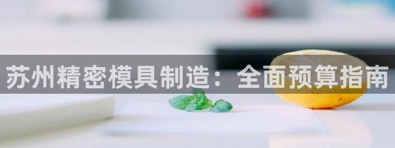 彩神旗下有哪些平台可以看：苏州精密模具制造：全面预算指南